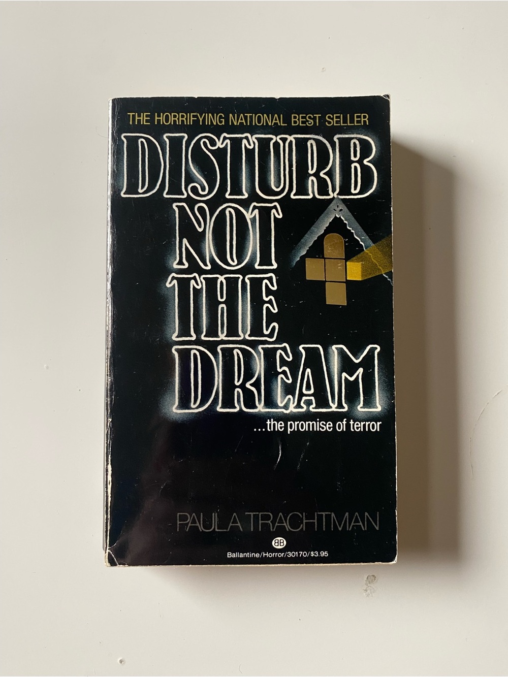 Disturb Not the Dream by Paula Trachtman (Paperback, 1982)